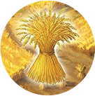 Grain